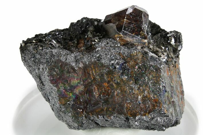 Fluorescent Zircon Crystal and Magnetite in Biotite Schist - Norway #351542